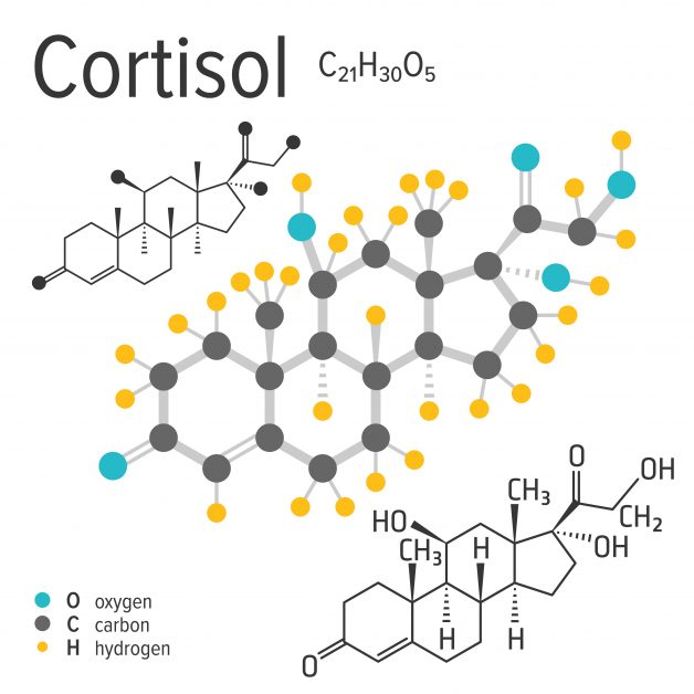 CORTISOL