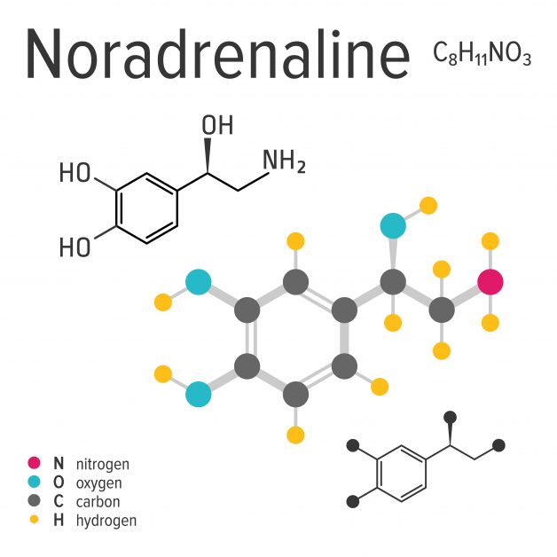 noradrenaline